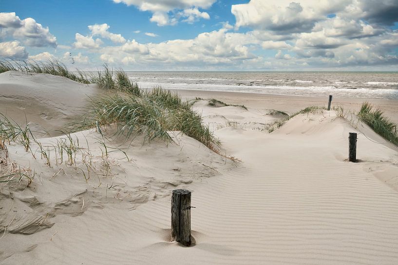 Nordsee mit den niederländischen Dünen von eric van der eijk