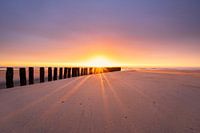 Soleil à travers les brise-lames sur la plage de Zeeland