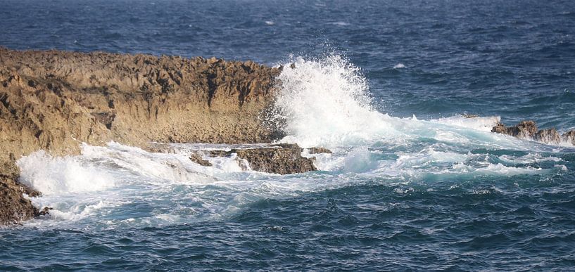 sea east coast of Bonaire by Silvia Weenink
