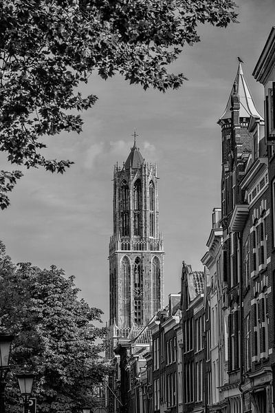 Die Kathedrale von Utrecht mit den Gebäuden an der Oudegracht im Vordergund von André Blom Fotografie Utrecht