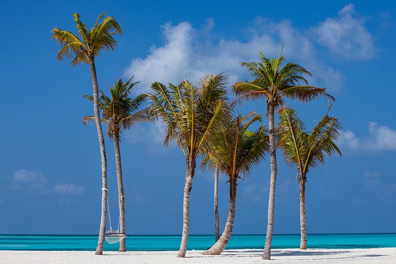 Hängematte von Silco Saaman