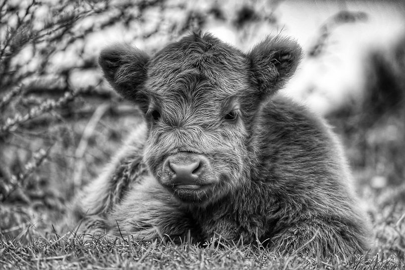 Spielen? von Truckpowerr