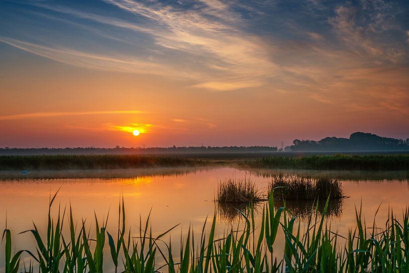 Sunrise by Bart Hendrix