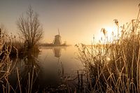 Kinderdijk