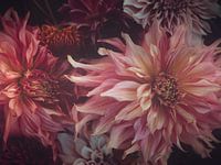 Moody Dahlias