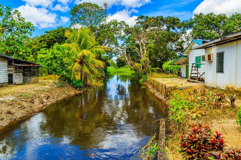 Plantage Katwijk bei Paramaribo in Surinam von René Holtslag