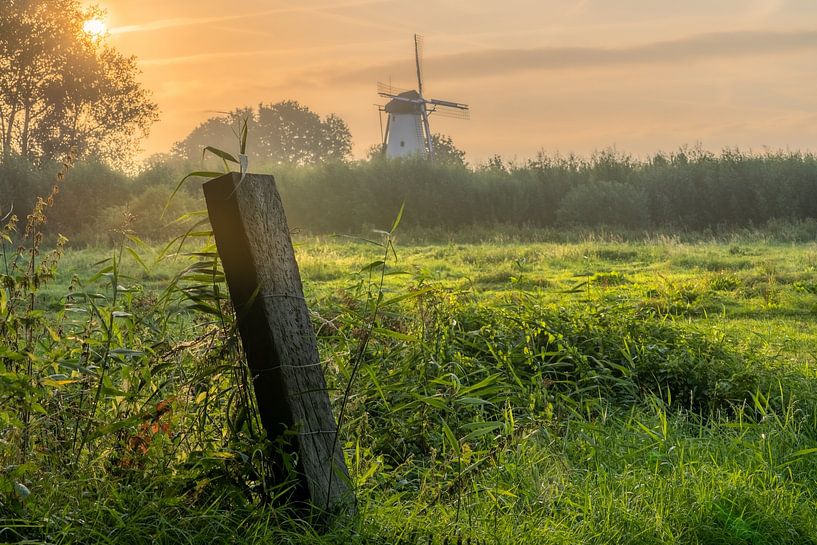 Windmühle Der Schmetterling von Mariënwaardt aus gesehen von Frank Smit Fotografie