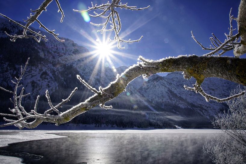 Plansee mountain lake in winter by Miriam Schwarzfischer Fotografie