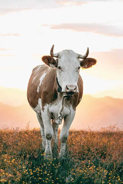 Handsome cow in the Austrian alpine pasture - Vertical by Sophia Eerden