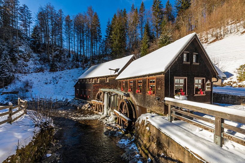 Moulin de Hexenloch en Forêt-Noire par Werner Dieterich
