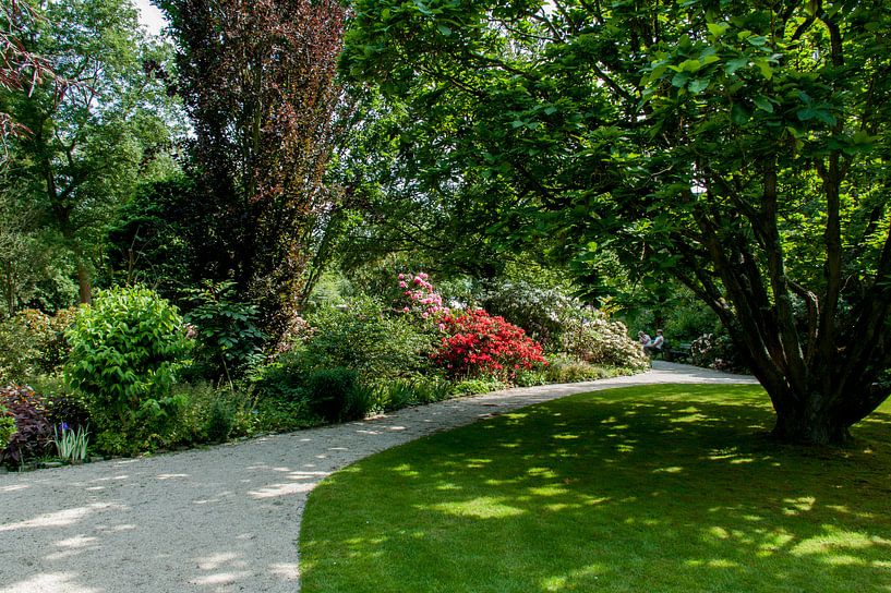 Rotterdam-Botanische Tuinen Trompenburg 06 von Hans Blommestijn