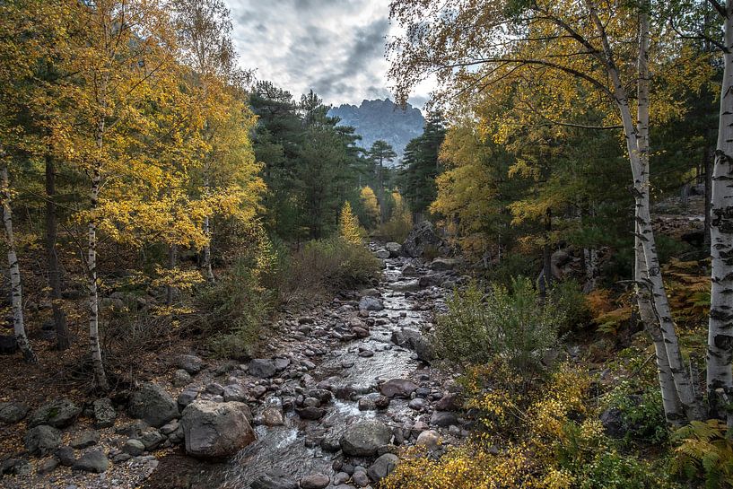 Nature in Corsica by Inge Wessels