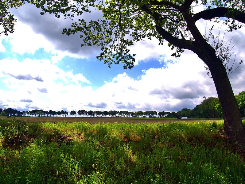 Vierhöfeweg 9 par Edgar Schermaul