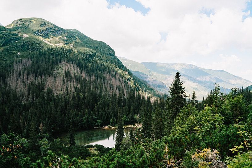 Tatra mountains Slovakia V by Suzanne Spijkers