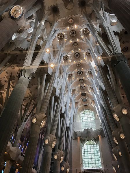 Sagrada Familia | Church | Barcelona | Spain by Nicole Van Stokkum
