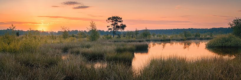 Panorama und Sonnenaufgang im Nationalpark Dwingelderveld von Henk Meijer Photography