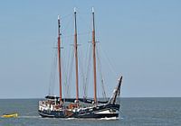 Het bruine vloot schip Linde