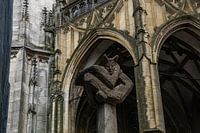 mariken van nieumehen