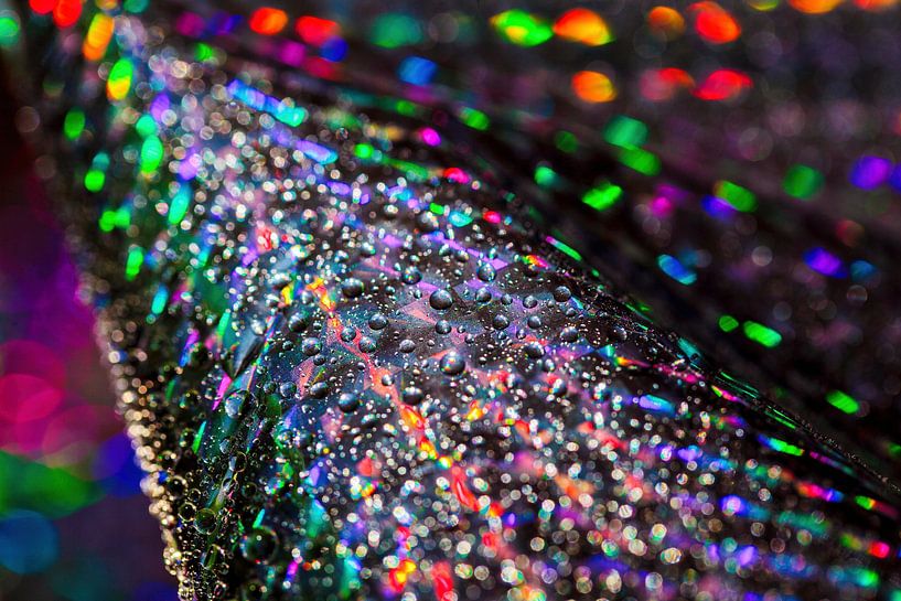 Foil art by Rob Boon