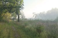 Engbertsdijksvenen 4