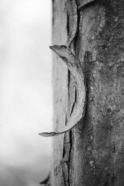 Hitte von Paul Glastra Photography