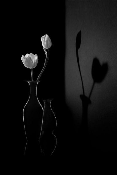 Der Schatten des Frühlings von Libby Zhang