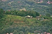 The house in the distance