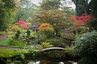 Japanse Tuin 