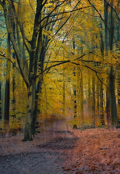 Kwintelooijen part 43 by Tania Perneel