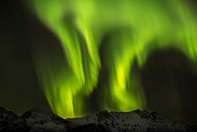 Aurora Borealis - Polarlichter auf den Lofoten von Dieter Meyrl