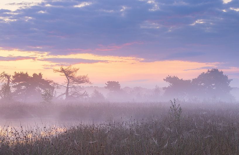 Lever de soleil Terhorsterzand (Drenthe- Pays-Bas) par Marcel Kerdijk