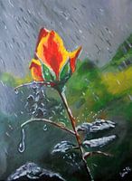 I stand in the rain and wait for you