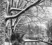 snow on the trees on the Brouwersgracht