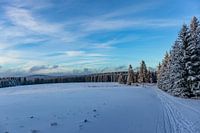 Erste Winterwanderung auf dem Rennsteig