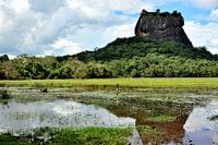 Die Ruinen von Sigiriya Gespiegelt im Teich