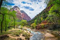 Virgin rivier in Zion National Park, Amerika