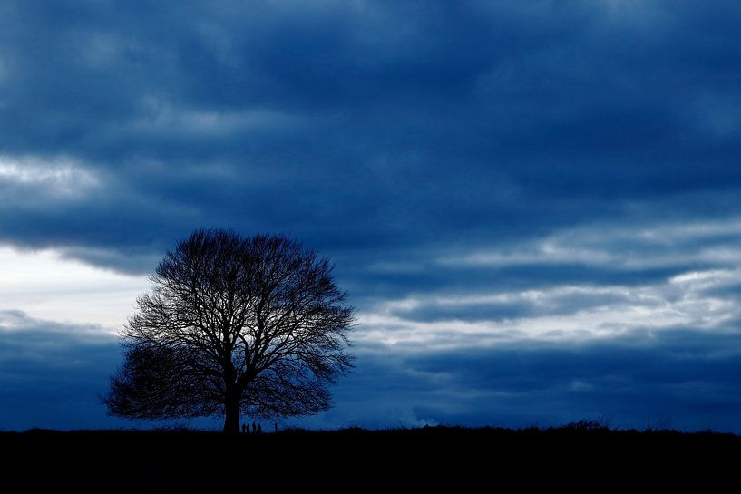 Eder Heide in blau von Wim Baan