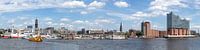 Harbor panorama Hamburg