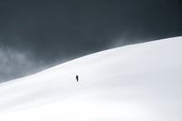 Der einsame Alpinist