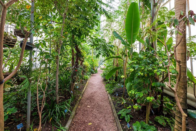 Jardin botanique à Delft par Evert Jan Luchies