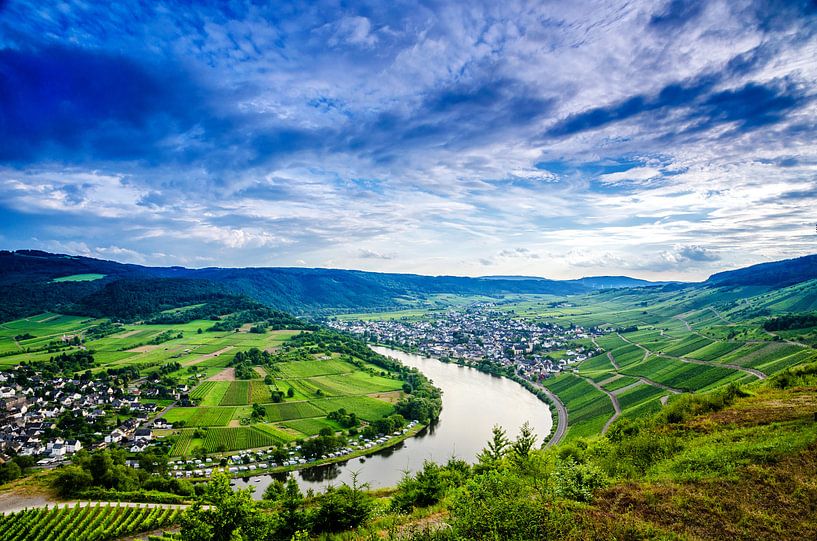 Kröv und Wolf von Mont Royal an der Mosel von RB-Photography
