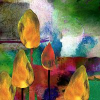 Tulips by the wayside