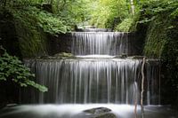 Waterfall in a forest in Switzerland