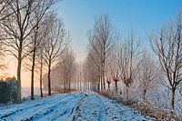 Paysage d'hiver dans le Brabant