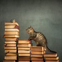 I've got you! I've got you!