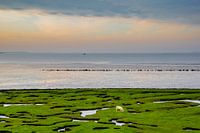 Schaftschiff - Point of Reide