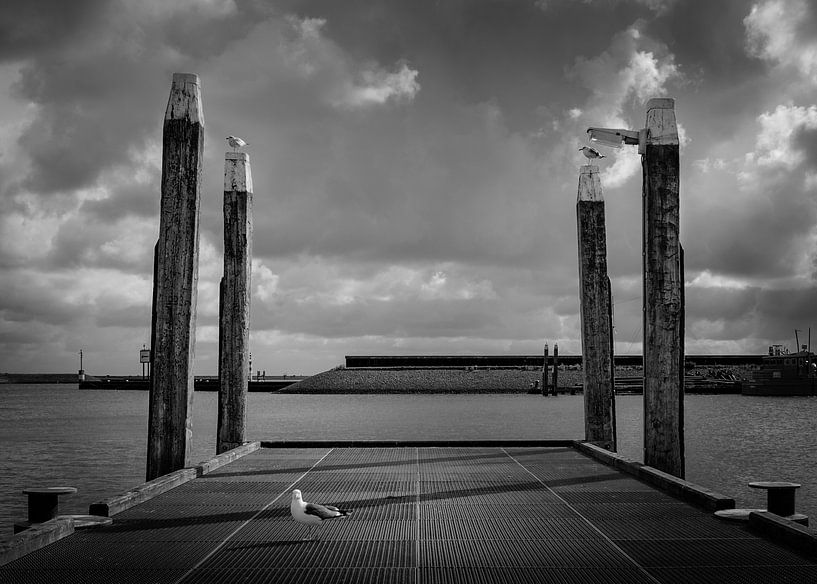 Steiger von marco broersen