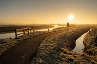 Sports in the inner field hay fields