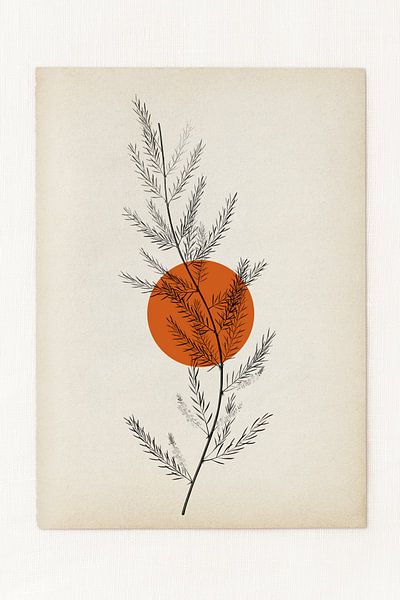 The Simplicity in Nature (gezien bij vtwonen) van Marja van den Hurk