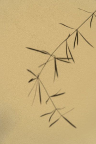 Twig by Richard Gouw